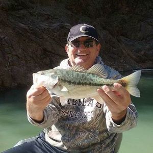 Meet your Posher, Ron